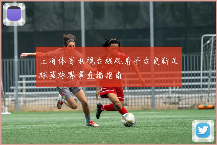 上海体育电视台线观看平台更新足球篮球赛事直播指南