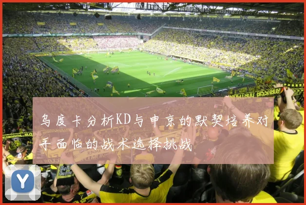 乌度卡分析KD与申京的默契培养对手面临的战术选择挑战