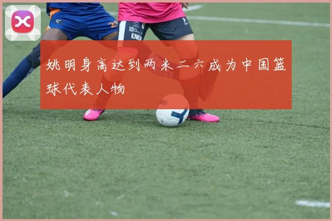 姚明身高达到两米二六成为中国篮球代表人物